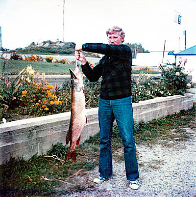 Fish