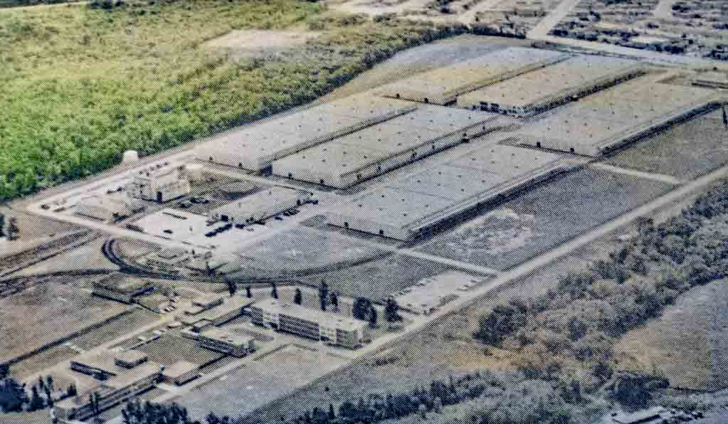 H.M.C.S. Hochelaga