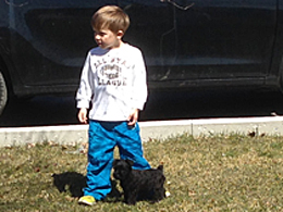 Family Pets